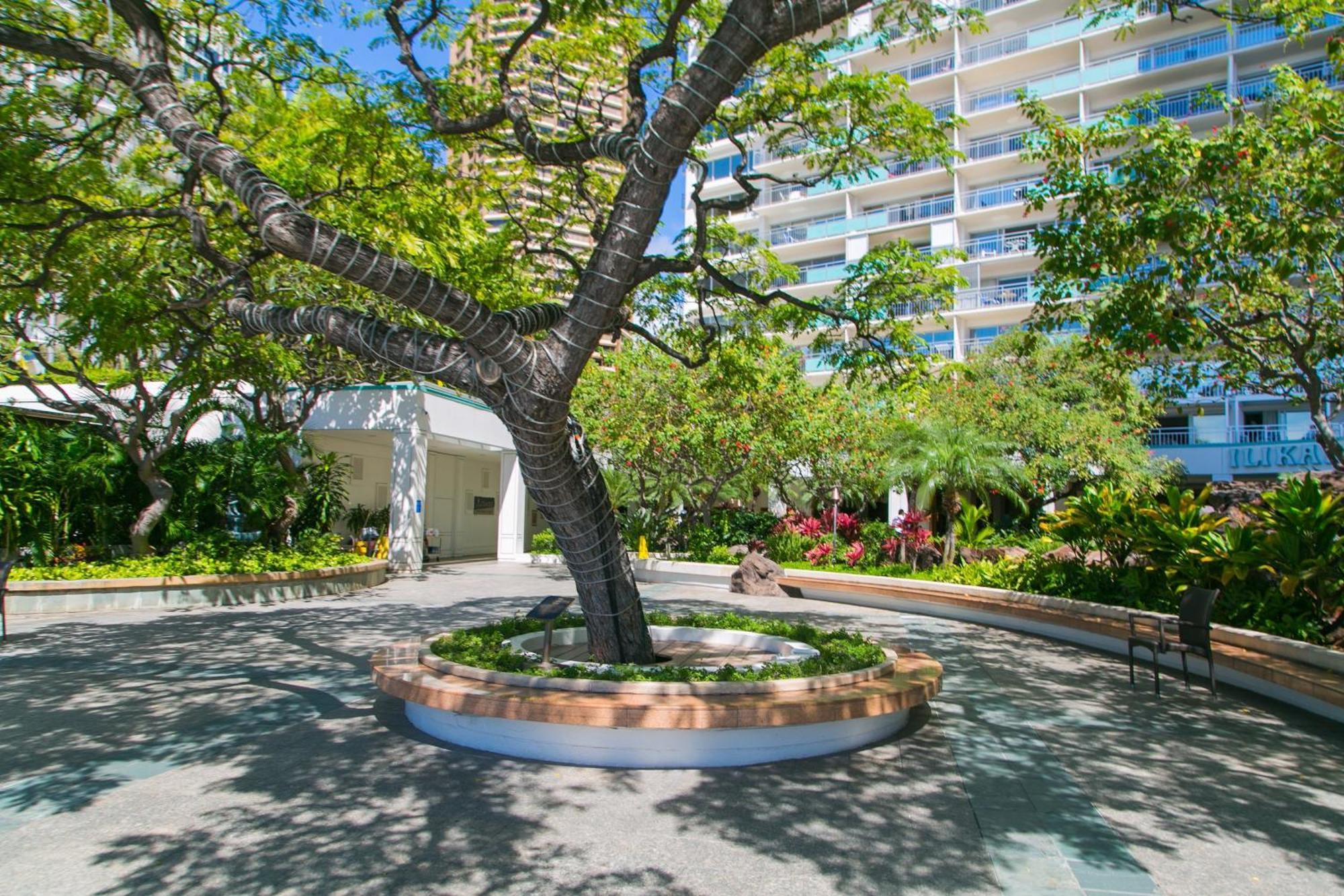 Ilikai Tower 1403 City View 1Br Honolulu Dış mekan fotoğraf